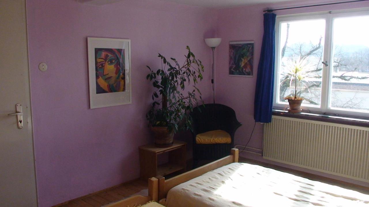 Appartement Haus Wunderlich à Sigmaringen Extérieur photo