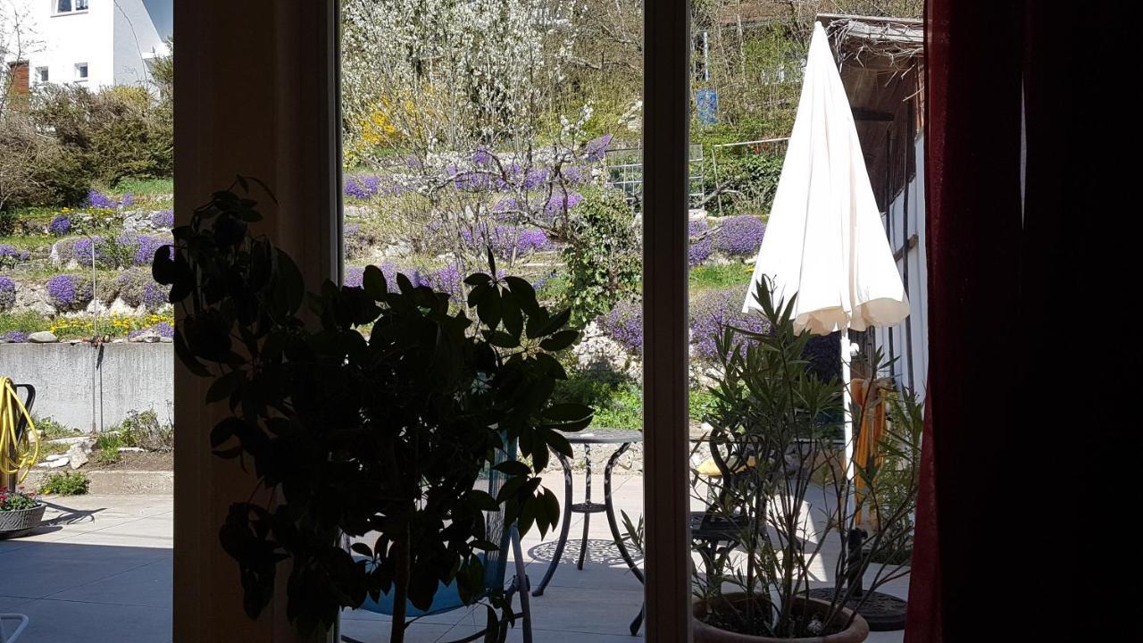 Appartement Haus Wunderlich à Sigmaringen Extérieur photo